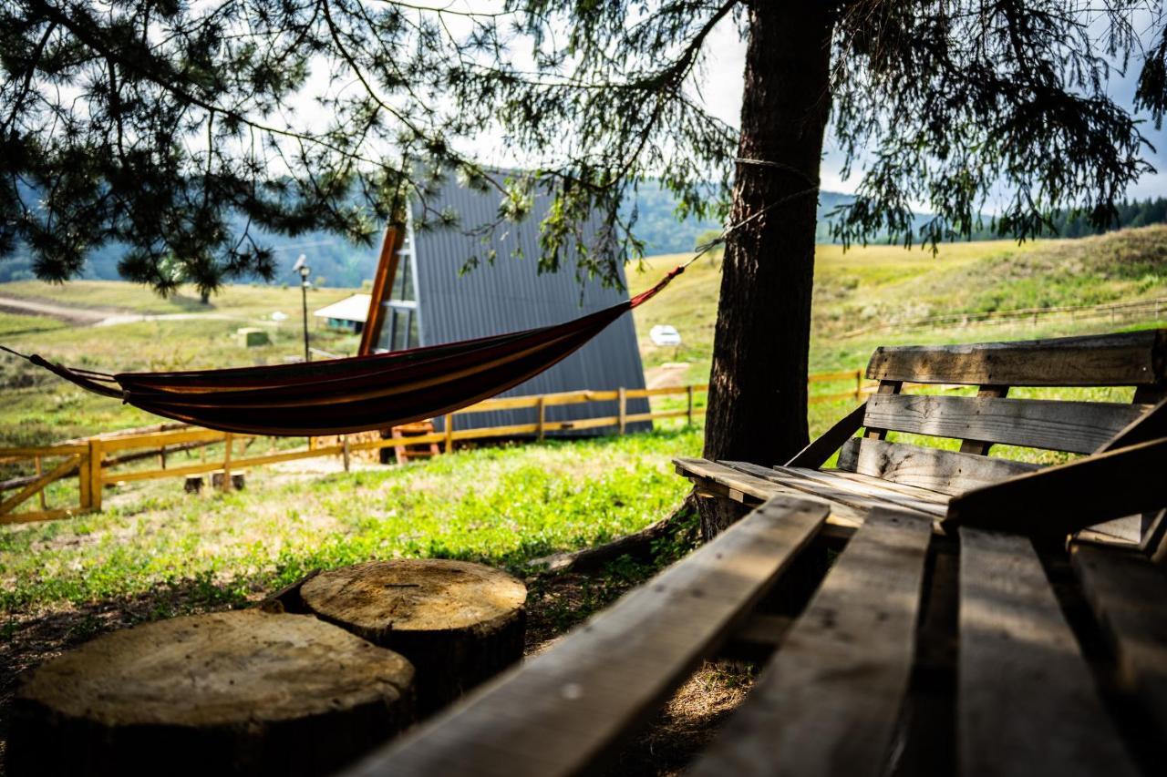 Casuta Mea Villa Piatra Neamt Bagian luar foto