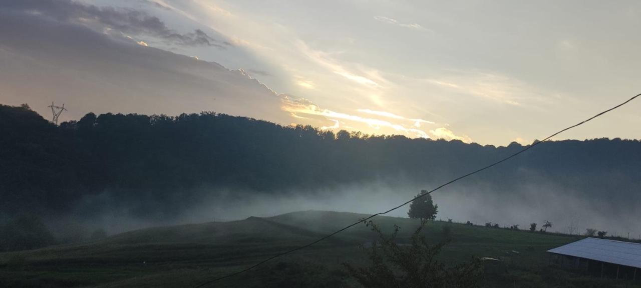 Casuta Mea Villa Piatra Neamt Bagian luar foto