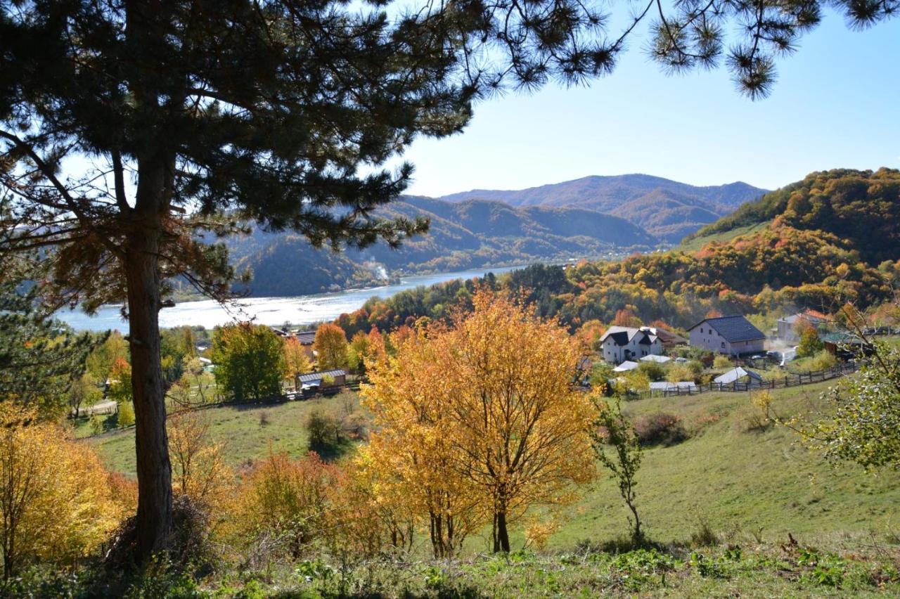 Casuta Mea Villa Piatra Neamt Bagian luar foto