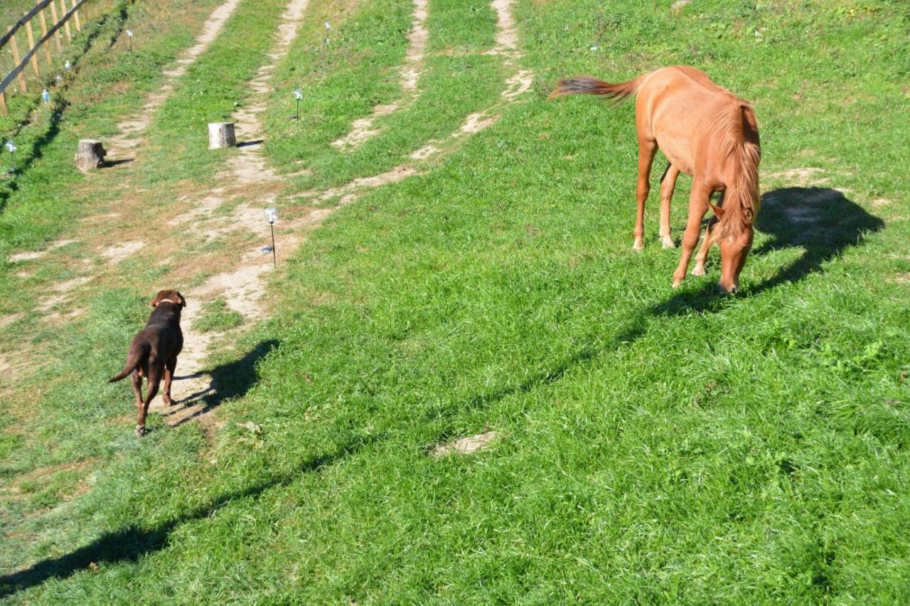 Casuta Mea Villa Piatra Neamt Bagian luar foto