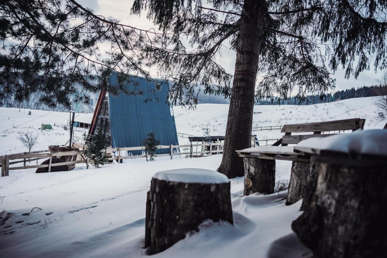 Casuta Mea Villa Piatra Neamt Bagian luar foto